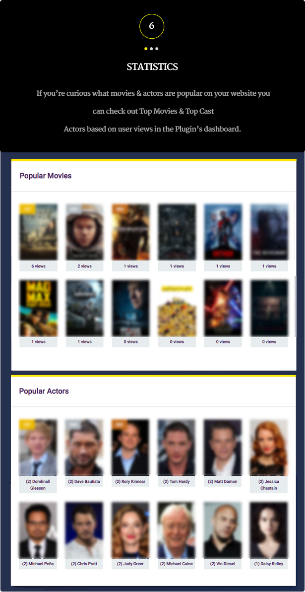 Wordpress Movies Bulk Importer - 9