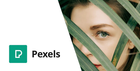 Pexels – Import Free Stock Images into WordPress